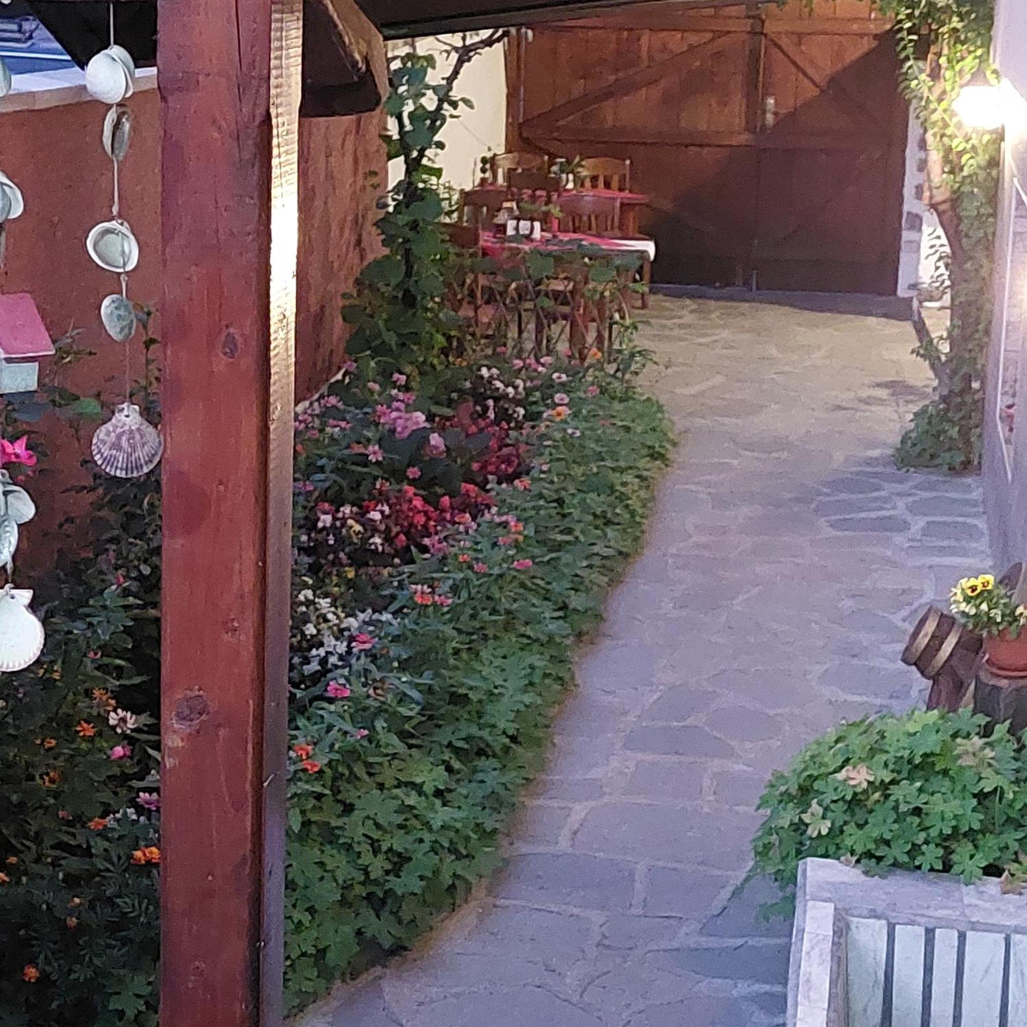 Guest House Planinski Zdravets Bansko Exteriör bild