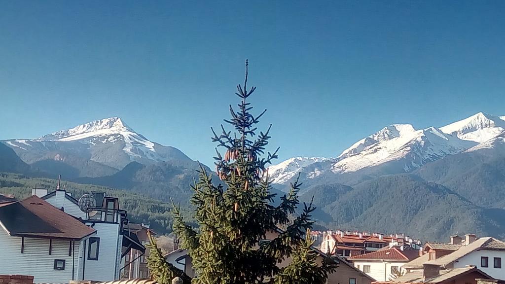 Guest House Planinski Zdravets Bansko Exteriör bild